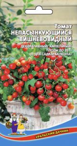 tomat-nepasynkuyushh-sya-vishnevovidnyy
