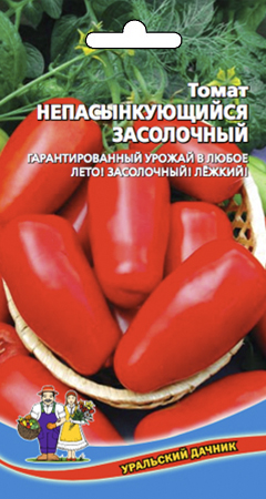 tomat-nepasynkuyushh-sya-zasolochnyy