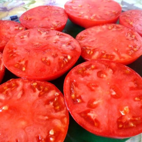 tomat-yusupovskiy-1