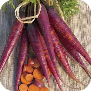 Морковь фиолетовая Cosmic Purple