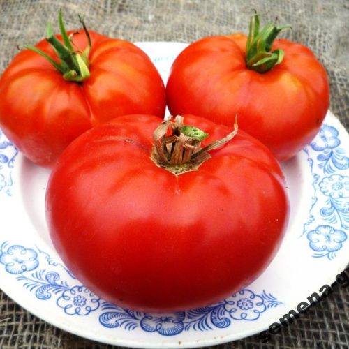 afonskie-pomidory-greek-domata