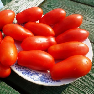 pomidory-fingers-of-naples-damskie-palchiki-iz-nea