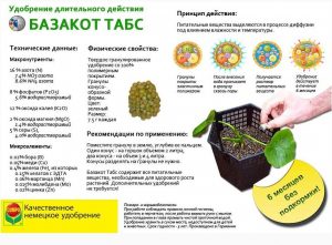 bazakot-tabs
