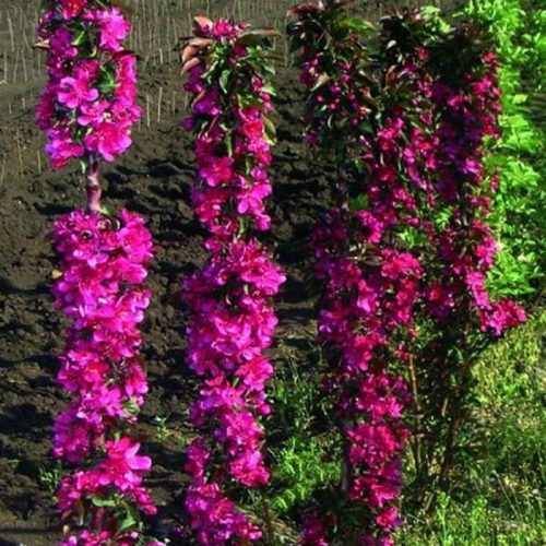 yablonya-granatovyy-braslet2