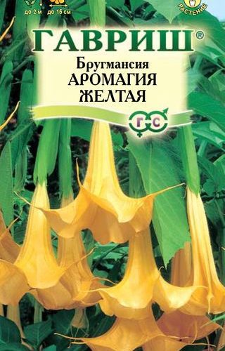 brugmansiya-aromagiya-zheltaya
