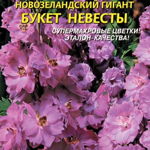 delfinium-f1-novozelandskiy-gigant-bu