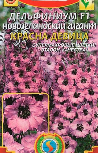 delfinium-f1-novozelandskiy-gigant-kr