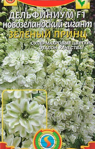 delfinium-f1-novozelandskiy-gigant-ze