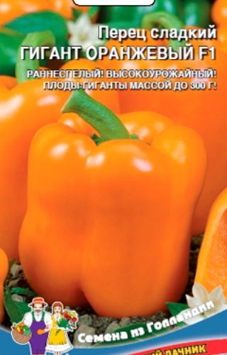 gigant-oranzhevyy