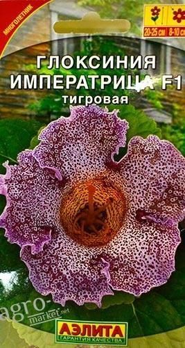 gloksiniya-imperatrica-tigrovaya-5sht-aye