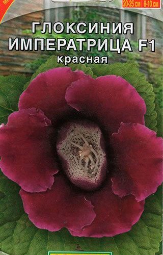 gloksiniya-imperatrica-krasnaya-5sht-ayel