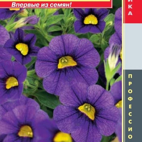 kalibrakhoa-f1-seriya-kabloom-kablum-sinyaya-pla