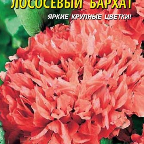 mak-pionocvetnyy-lososyovyy-barkhat