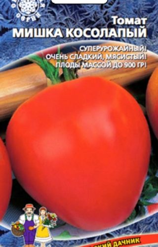 mishka-kosolapyy