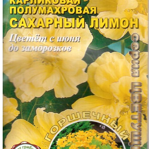 nasturciya-sakharnyy-limon-gorshechnaya-k