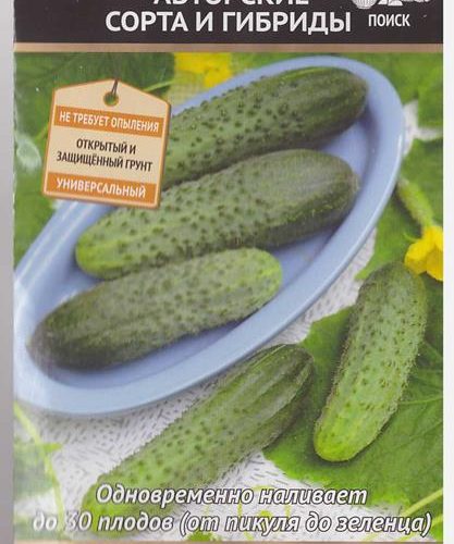 ogurec-avoska-f1-poisk