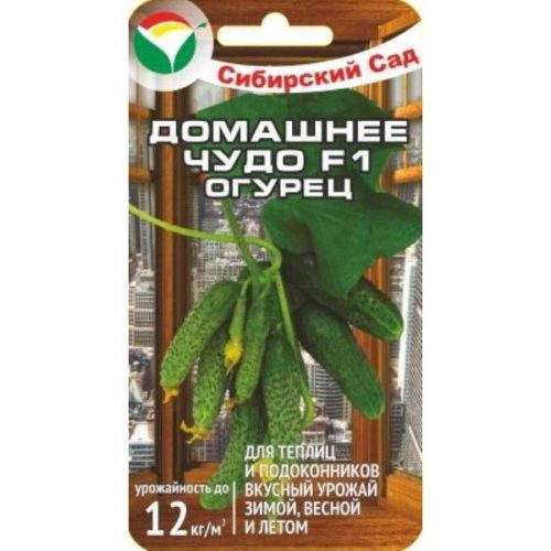 ogurec-domashnee-chudo