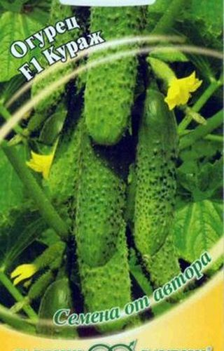 ogurec-kurazh-f1-10sht-gavrish
