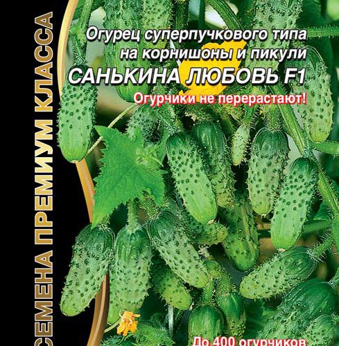ogurec-sankina-lyubov
