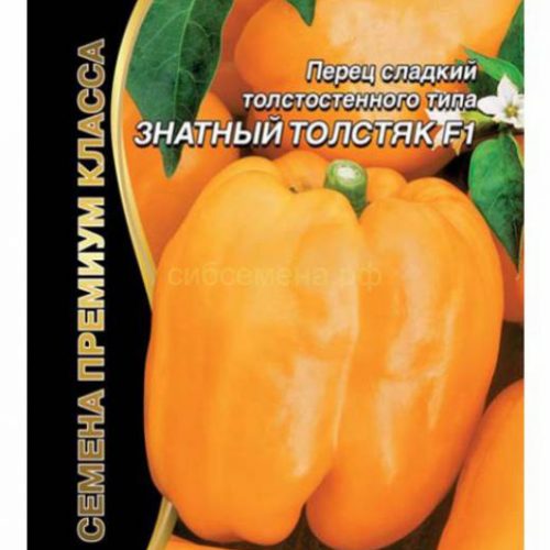 perec-sladkiy-znatnyy-tolstyak