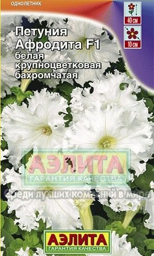 petuniya-afrodita-f1-belaya-krupnocvetko