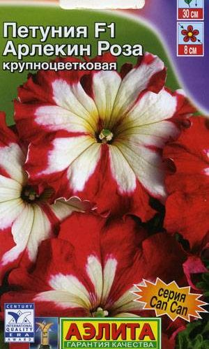 petuniya-arlekin-roza