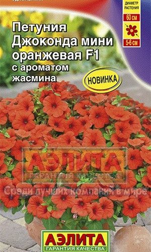 petuniya-dzhokonda-mini-oranzhevaya-ayeli
