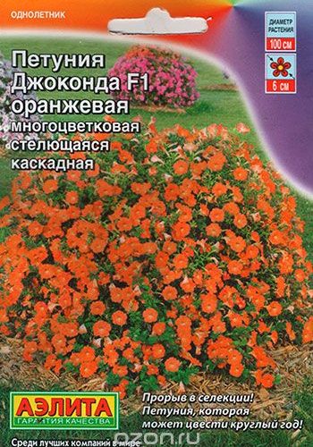 petuniya-dzhokonda-oranzhevaya-ayelita