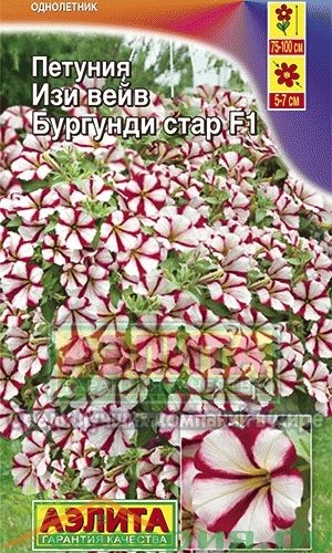 petuniya-izi-veyv-burgundi-star-ayelita