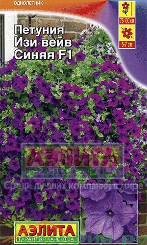 petuniya-izi-veyv-sinyaya-ayelita