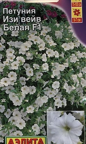 petuniya-izi-veyv-belaya-ayelita