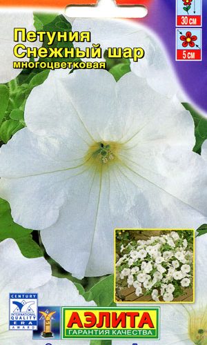 petuniya-snezhnyy-shar-ayelita