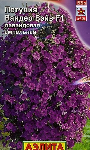 petuniya-vander-veyv-lavandovaya-ayelit