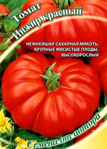 tomat-inzhir-krasnyy