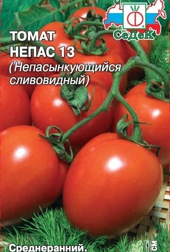 tomat-nepasynkuyushhiysya-slivovidnyy