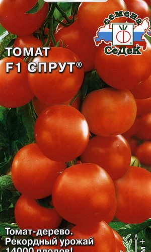 tomat-sprut-f1