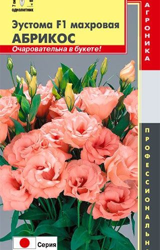 yeustoma-abrikos-makhr-10sht