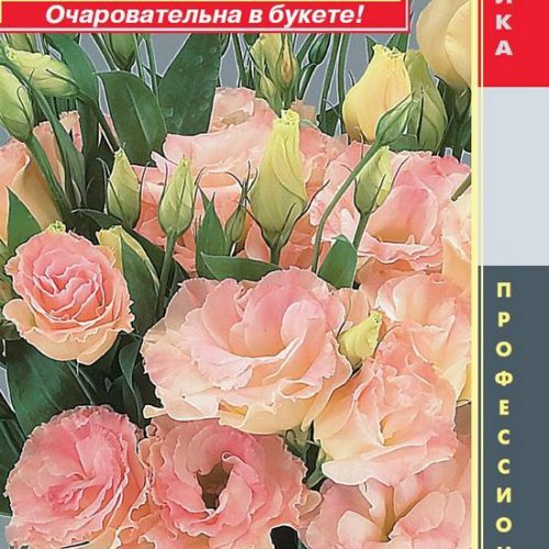 yeustoma-f1-makhrovaya-seriya-magic-shampan-pla