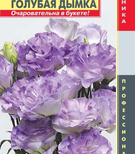 yeustoma-f1-seriya-abc-golubaya-dymka-plaz