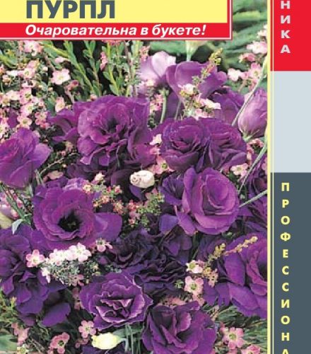 yeustoma-f1-seriya-abc-purpl-plaz