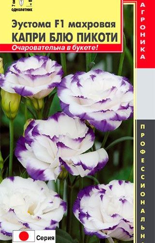 yeustoma-kapri-blyu-pikoti-10sht-plazm