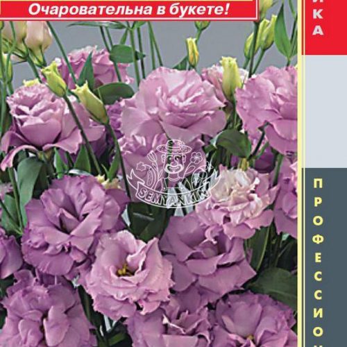 yeustoma-lilak-makhrovaya-10sht-plazm
