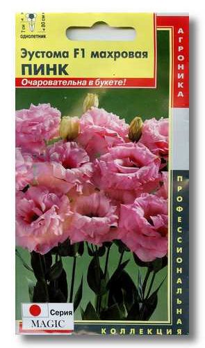 yeustoma-pink-10sht-plazm