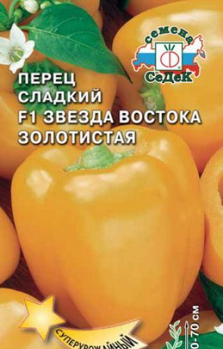 zvezda-vostoka-zolotistaya