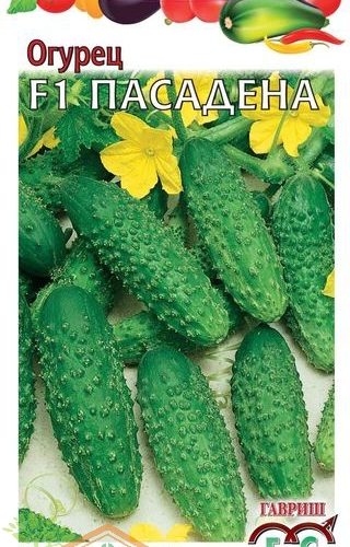 ogurec-pasadena-f1-10sht-gavrish