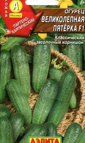 ogurec-velikolepnaya-pyaterka-f1
