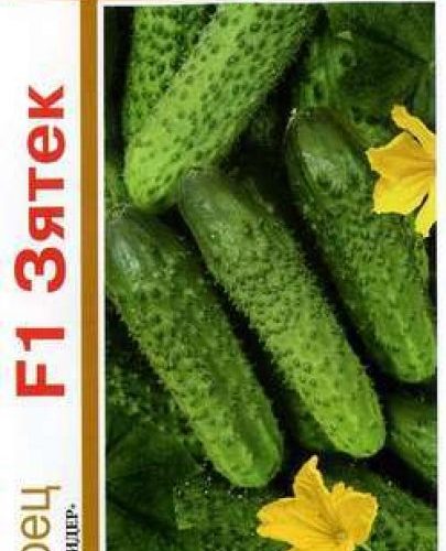 ogurec-zyatyokf1-20shtgavrish