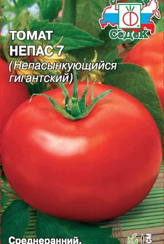 tomat-nepasynkuyushhiysya-gigantskiy