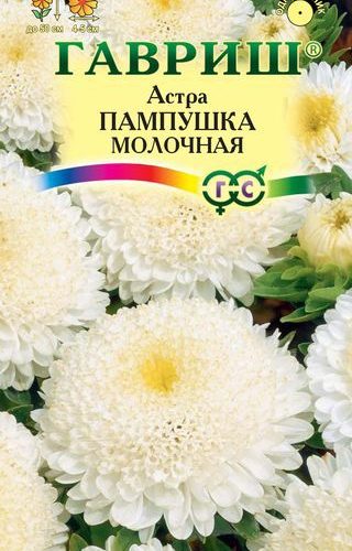 astra-pampushka-molochnaya-gavrish