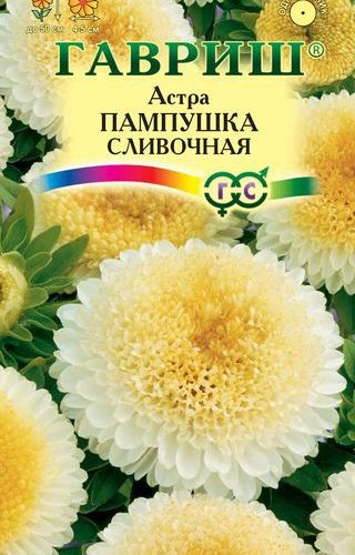astra-pampushka-slivochnaya-gavrish